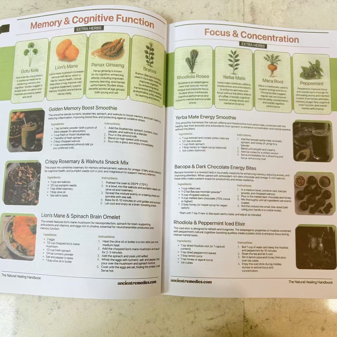 คู่มือการรักษาด้วยวิธีธรรมชาติ - Herbal Holistic Wellness บทวิจารณ์และราคา