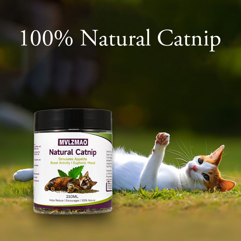 ของเล่นแมว - Silvervine Catnip - Nettle Leaf Tea บทวิจารณ์และราคา