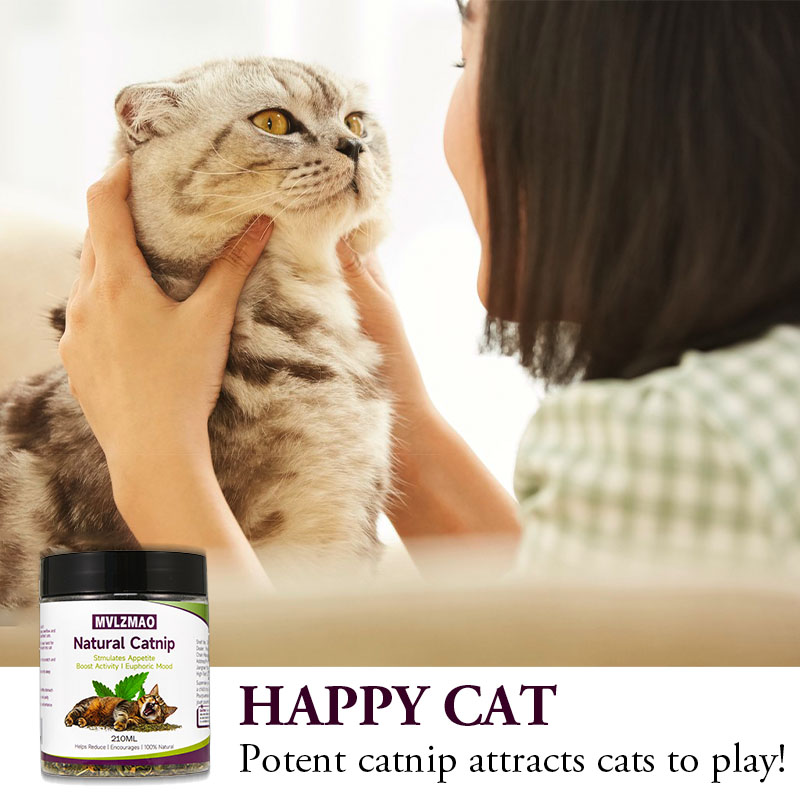ของเล่นแมว - Silvervine Catnip - Nettle Leaf Tea บทวิจารณ์และราคา